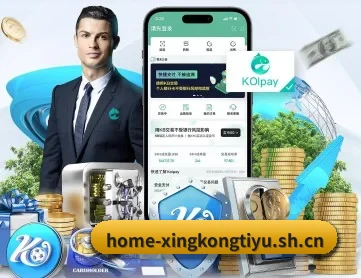 星空体育 APP 深度功能